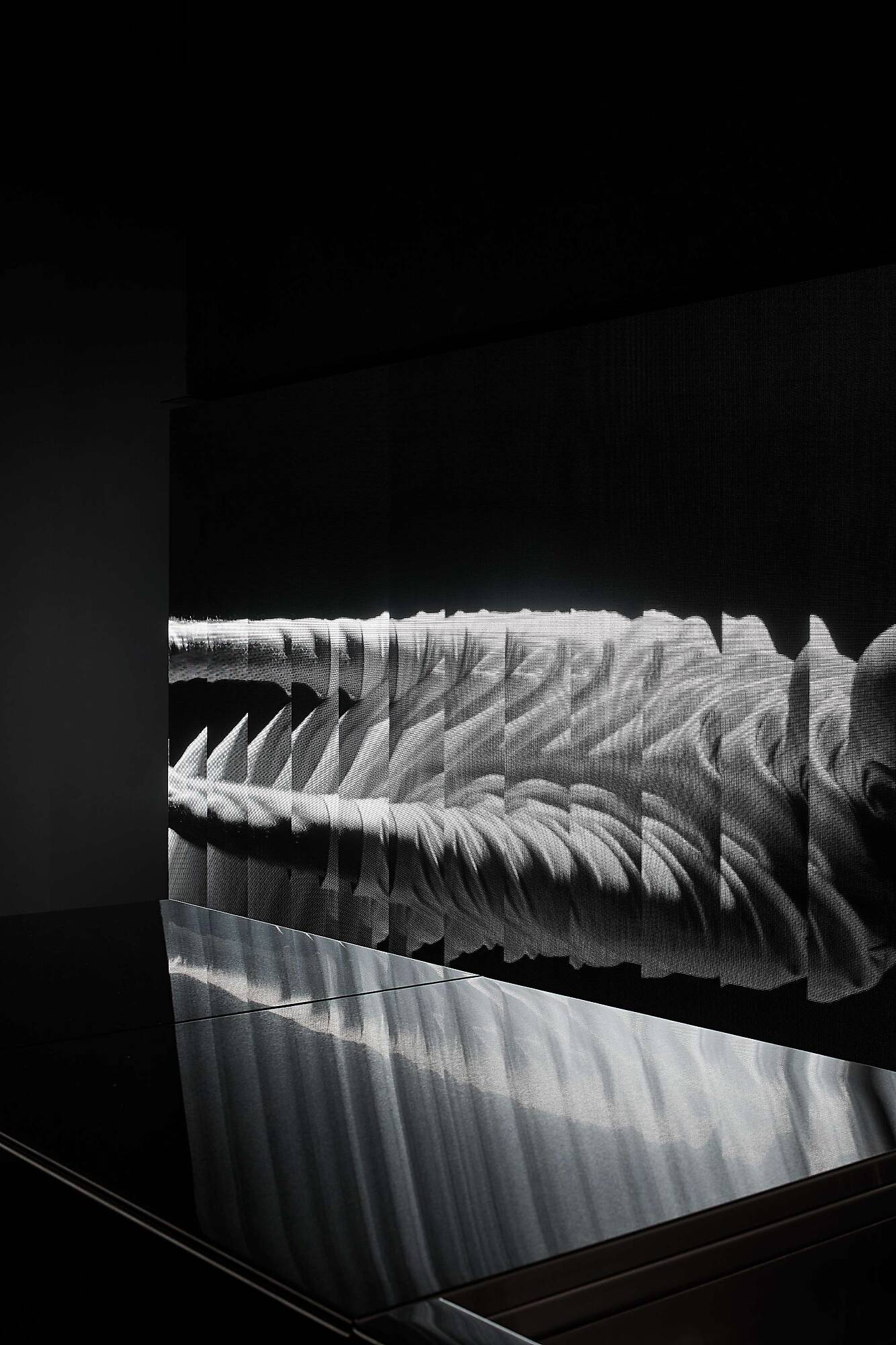 Interior photograph of Maddox Fit by Shannon McGrath